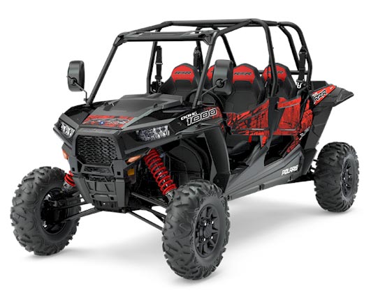 buggy rzr 1000